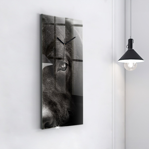 Téglalap alakú üvegóra Scottish Fold kutya és macska