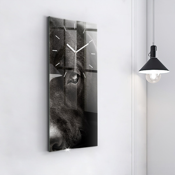 Téglalap alakú üvegóra Scottish Fold kutya és macska