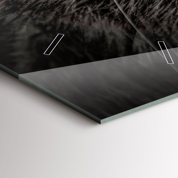 Téglalap alakú üvegóra Scottish Fold kutya és macska