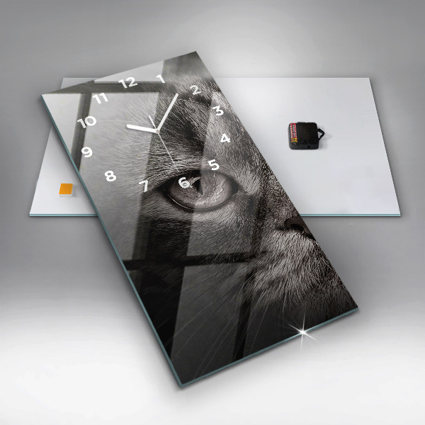 Téglalap alakú üvegóra Scottish Fold kutya és macska