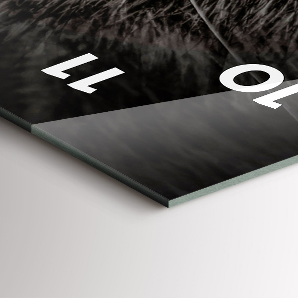 Téglalap alakú üvegóra Scottish Fold kutya és macska