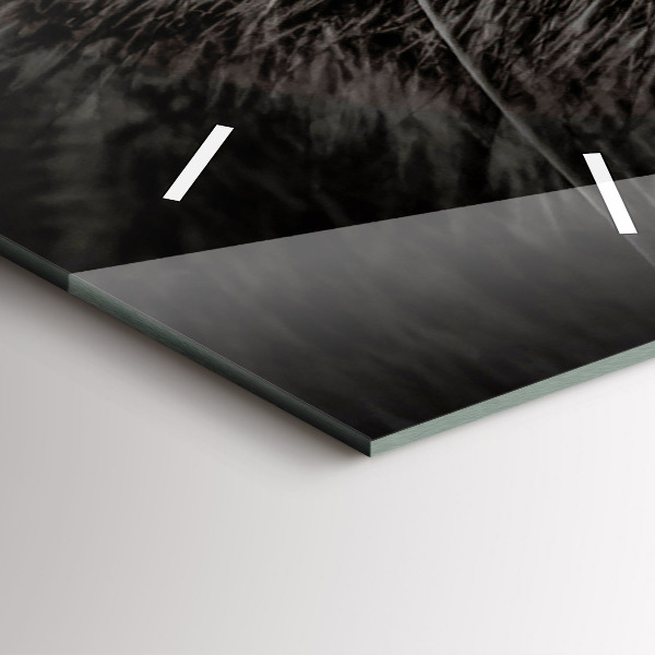 Téglalap alakú üvegóra Scottish Fold kutya és macska