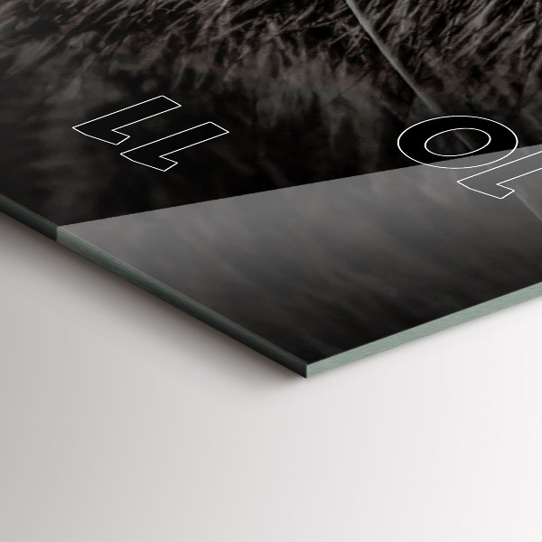 Téglalap alakú üvegóra Scottish Fold kutya és macska