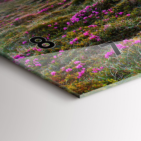 Vízszintes üvegóra Napkelte virágok