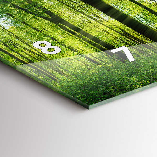 Vízszintes üvegóra Természet erdei fák