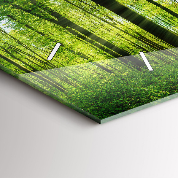 Vízszintes üvegóra Természet erdei fák