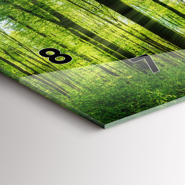 Vízszintes üvegóra Természet erdei fák