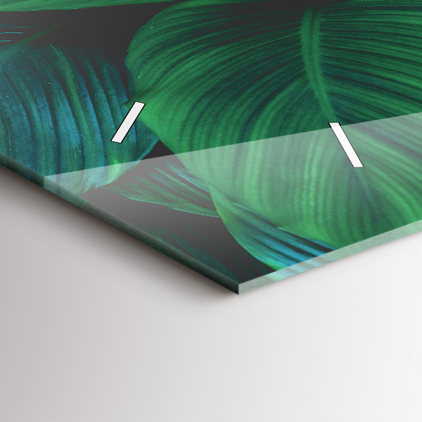 Vízszintes üvegóra A természet levelei