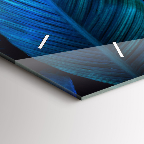 Vízszintes üvegóra Trópusi természet