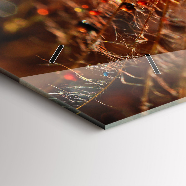 Vízszintes üvegóra Pitypang harmattal