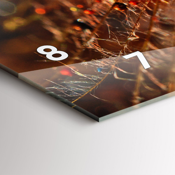 Vízszintes üvegóra Pitypang harmattal