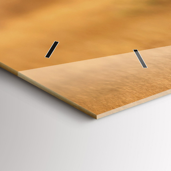 Vízszintes üvegóra Vadásztigris