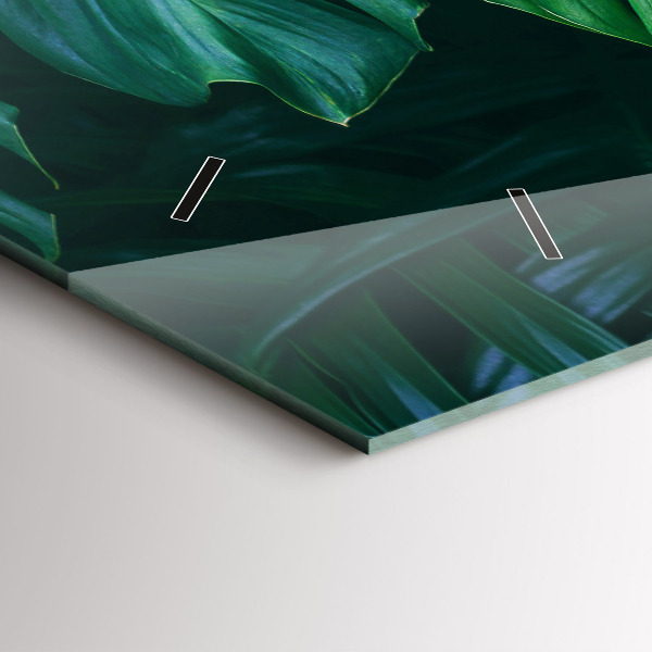 Vízszintes üvegóra A természet trópusi oldala