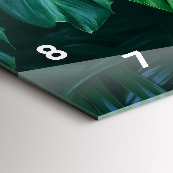 Vízszintes üvegóra A természet trópusi oldala