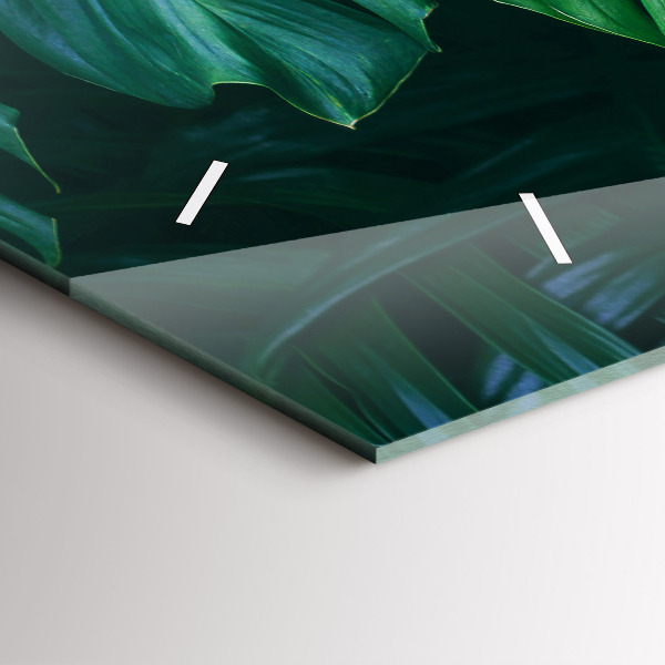 Vízszintes üvegóra A természet trópusi oldala