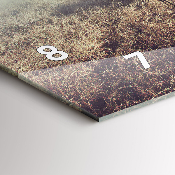 Vízszintes üvegóra Zebra – Absztrakció