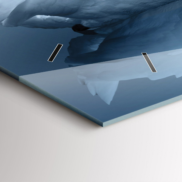 Vízszintes üvegóra Hattyúk a szívben