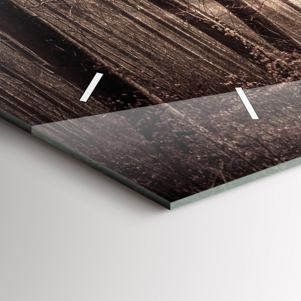 Vízszintes üvegóra Erdei ösvény szépia