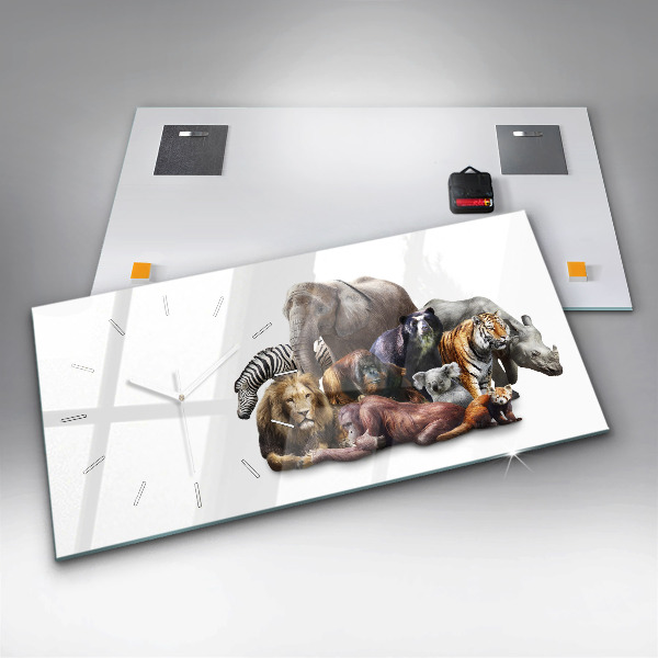 Vízszintes üvegóra Vadon élő állatok