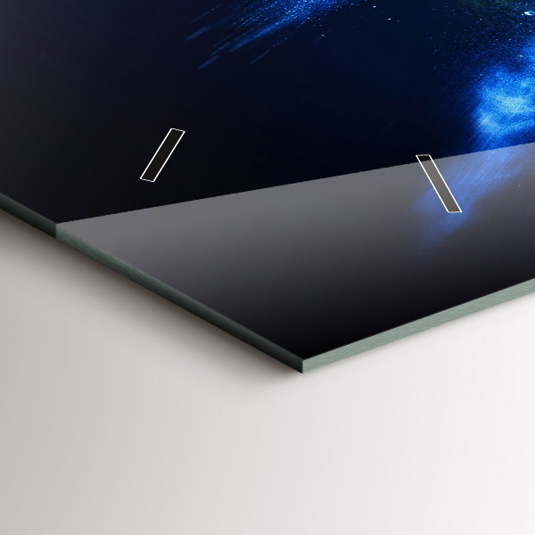 Vízszintes üvegóra Színes papagáj