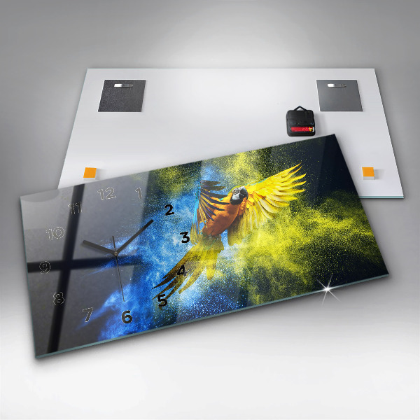 Vízszintes üvegóra Színes papagáj