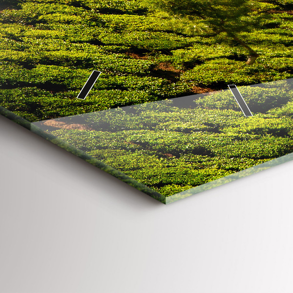 Vízszintes üvegóra Tea Hill