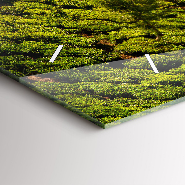 Vízszintes üvegóra Tea Hill