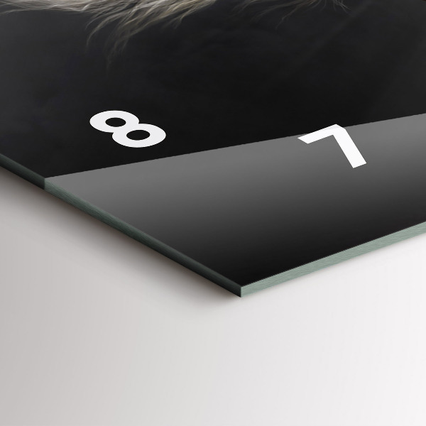 Vízszintes üvegóra Vágtató ló