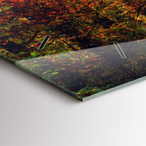 Vízszintes üvegóra Őszi erdei táj