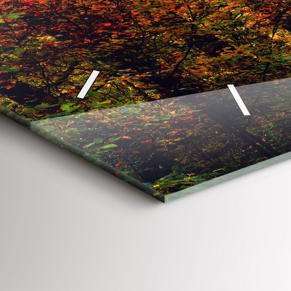 Vízszintes üvegóra Őszi erdei táj