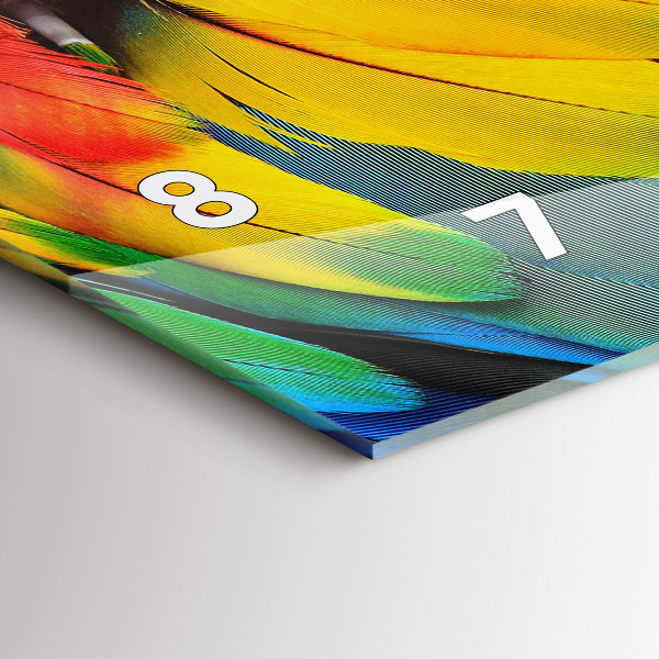 Vízszintes üvegóra Ara madár színes szárnyak