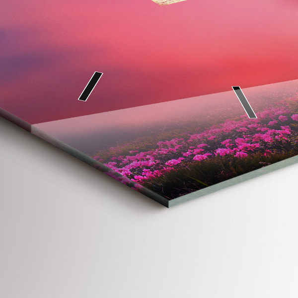 Vízszintes üvegóra Ház a madarak számára