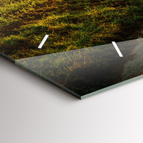 Vízszintes üvegóra Köd napkeltekor