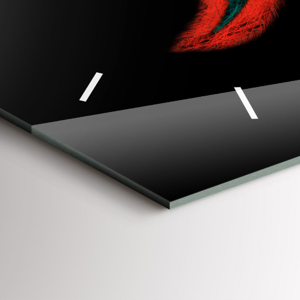 Vízszintes üvegóra Színes madár toll