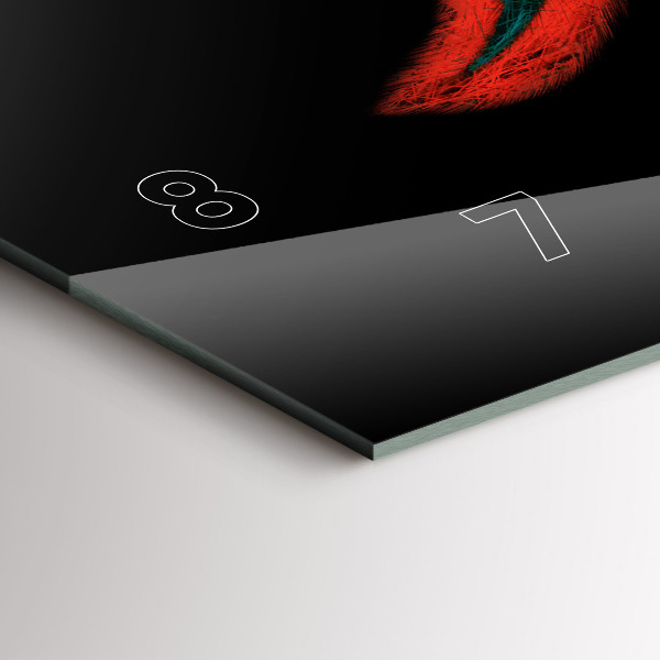 Vízszintes üvegóra Színes madár toll