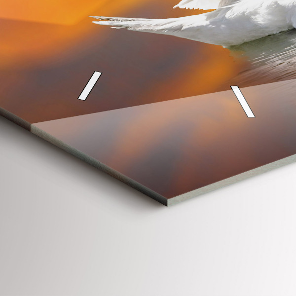 Vízszintes üvegóra Szerelmes hattyúk