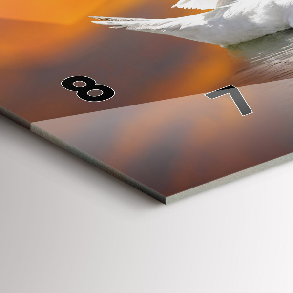 Vízszintes üvegóra Szerelmes hattyúk