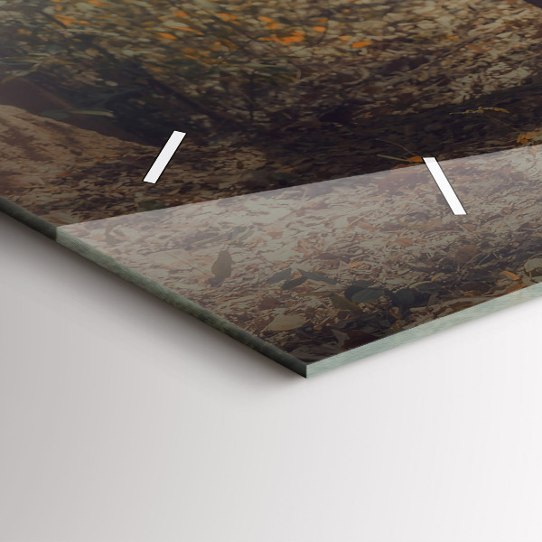 Vízszintes üvegóra Szerzetes vezető elefánt