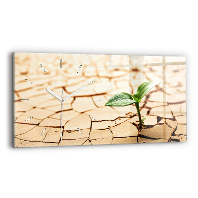 Vízszintes üvegóra Kiszáradt talajban lévő növény