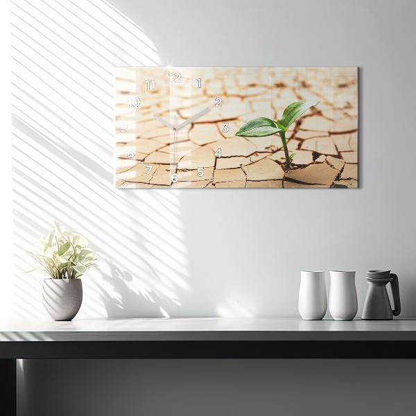 Vízszintes üvegóra Kiszáradt talajban lévő növény