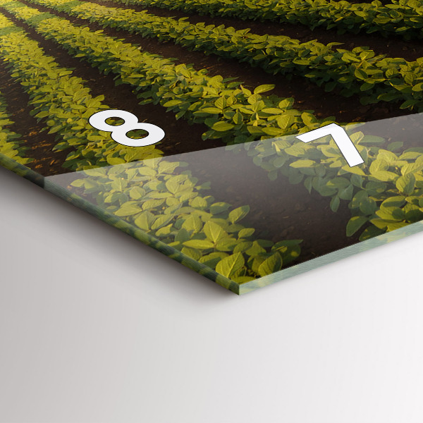 Vízszintes üvegóra Traktor permetezés egy mezőt