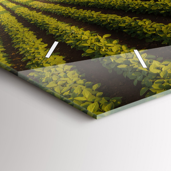 Vízszintes üvegóra Traktor permetezés egy mezőt