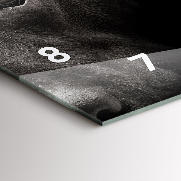 Vízszintes üvegóra Scottish Fold kutya és macska