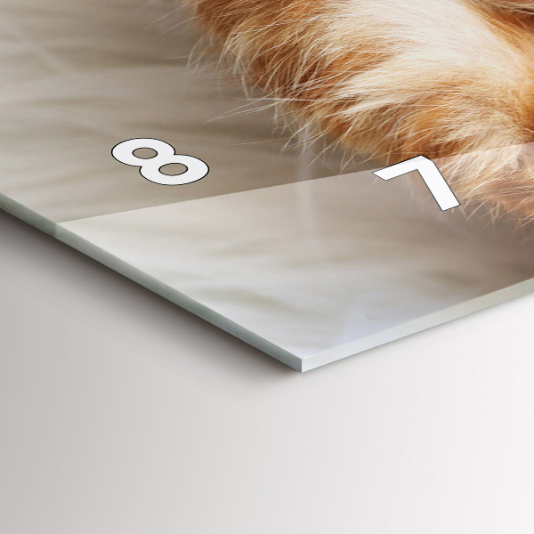 Vízszintes üvegóra Kis alvó cica