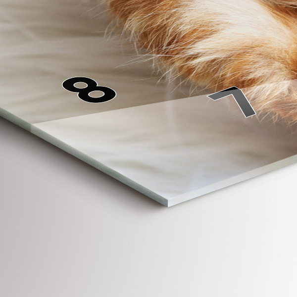 Vízszintes üvegóra Kis alvó cica