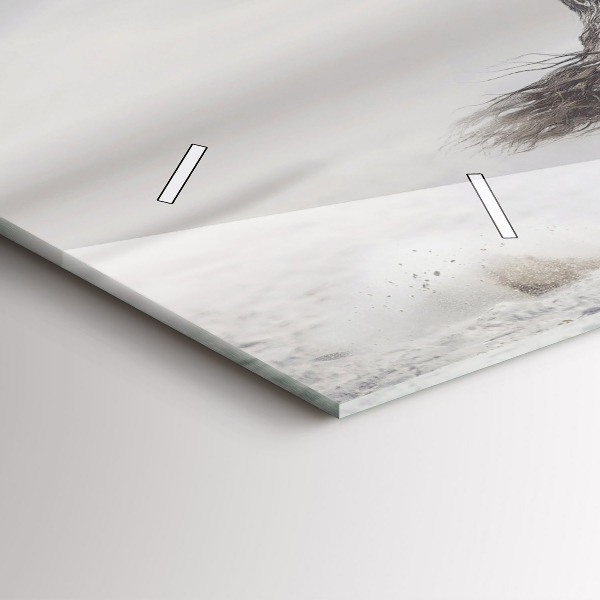 Vízszintes üvegóra Vágtázó fehér ló