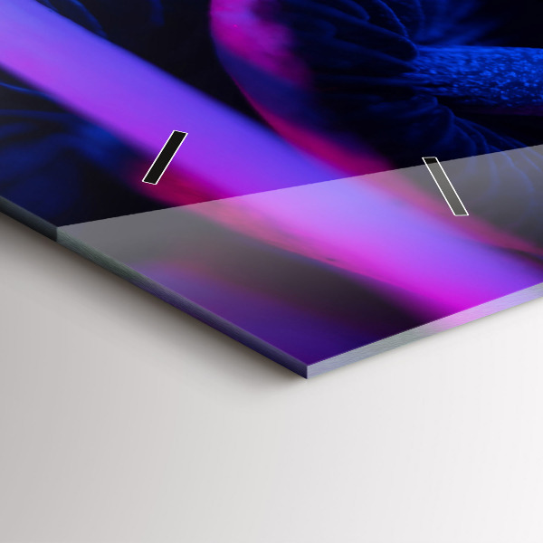 Vízszintes üvegóra Mágikus gombák színes