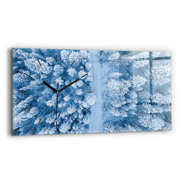 Vízszintes üvegóra Erdő madártávlatból Drón