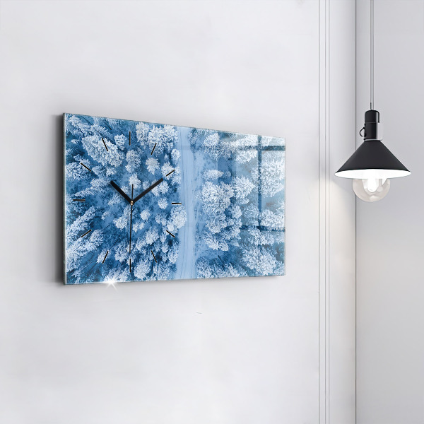 Vízszintes üvegóra Erdő madártávlatból Drón