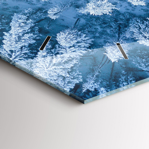 Vízszintes üvegóra Erdő madártávlatból Drón